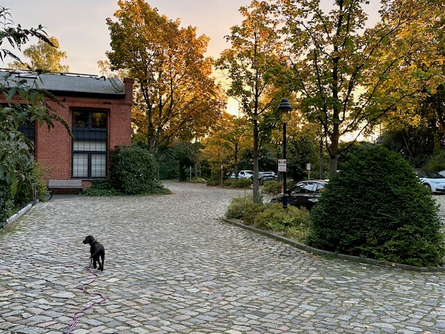 ZahnPROjekt Standort - Historisches Industriegebäude