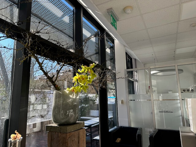 Arbeitsbereich mit Tageslicht